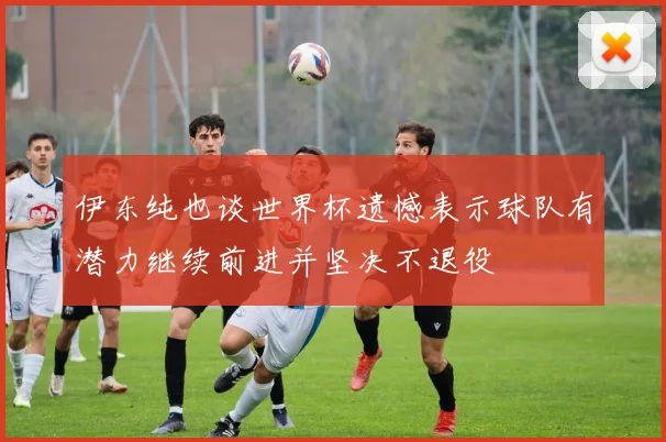 伊东纯也谈世界杯遗憾表示球队有潜力继续前进并坚决不退役