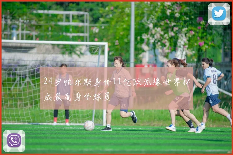 24岁帕尔默身价11亿欧无缘世界杯成最高身价球员