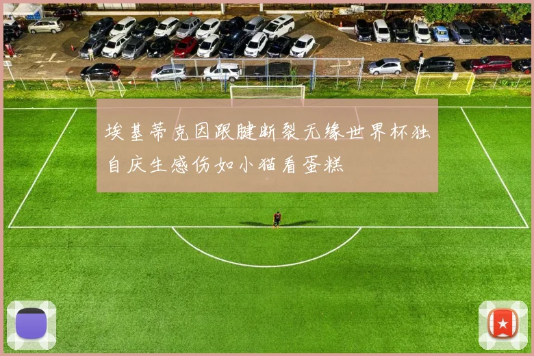 埃基蒂克因跟腱断裂无缘世界杯独自庆生感伤如小猫看蛋糕
