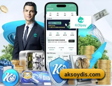 aoa网页版入口 APP